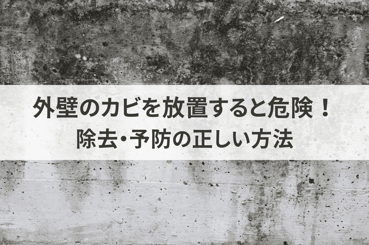 外壁のカビを放置すると危険！除去・予防の正しい方法を徹底解説