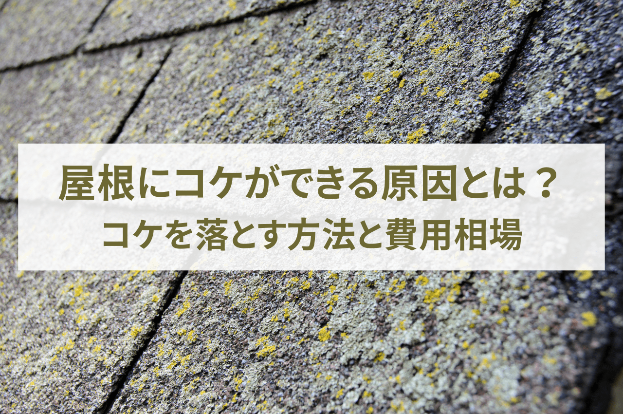 屋根にコケが生える原因とは？コケを落とす方法と費用相場も解説